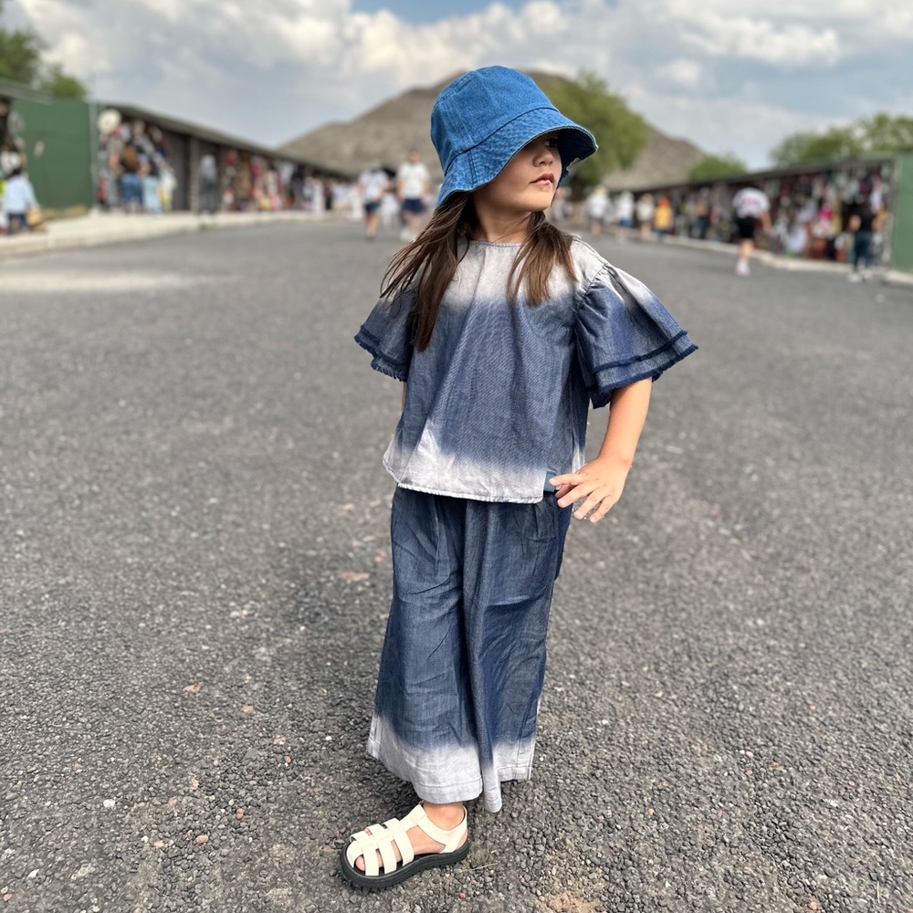 Denim Wide Pull On Pants and Top